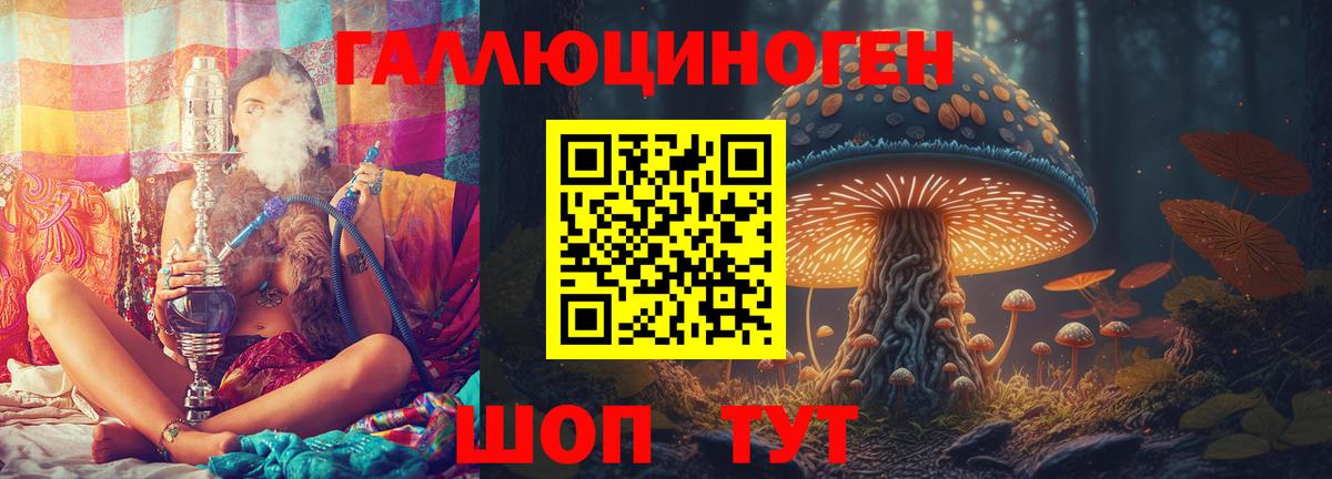 Галлюциногенные грибы Psilocybine cubensis Кизилюрт