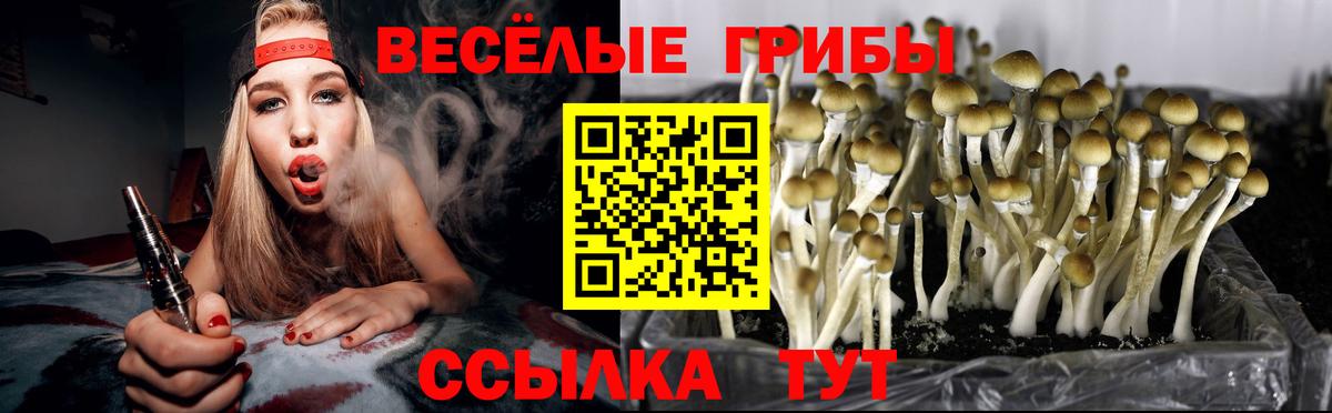 Кизилюрт  Псилоцибиновые грибы ЛСД  Вход с VPN 