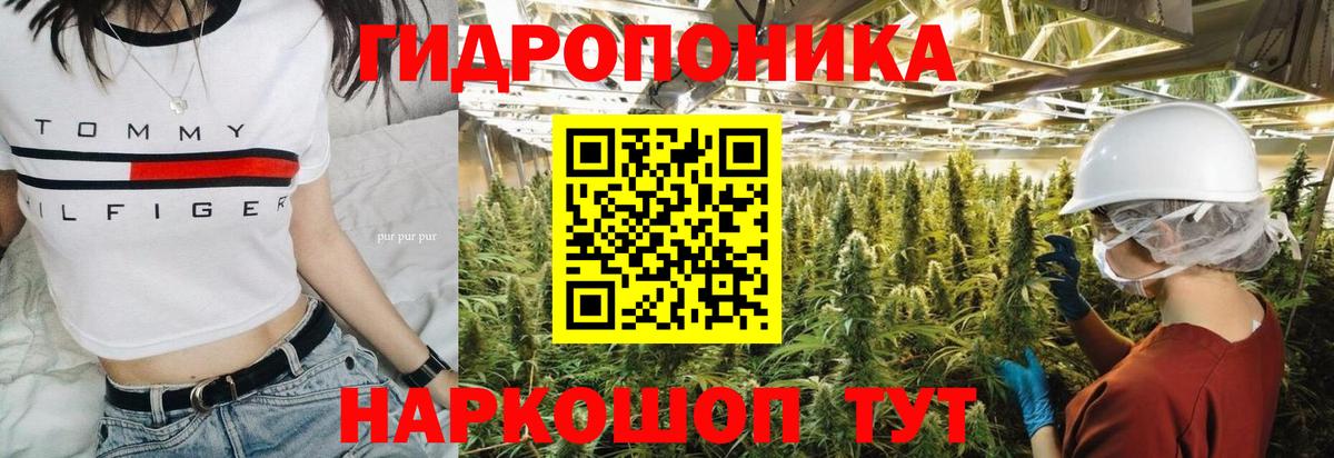 Бошки Шишки тримм Кизилюрт